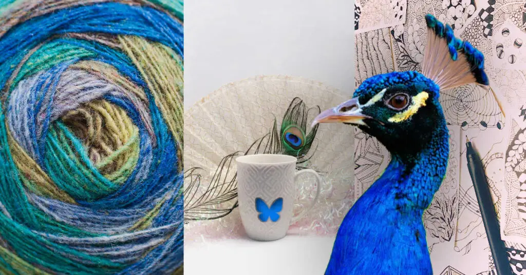 Peacock, yarn, coffee, and Spring